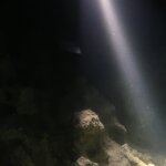 Photo taken by alai a