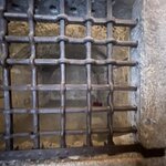 Photo taken by Erika N