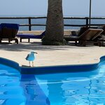 Photo taken by Steven L