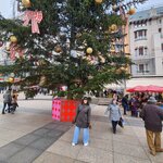 Photo taken by Jocelyn C