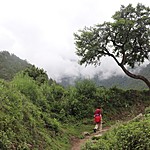 Photo taken by carole c