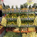 Photo taken by Tricia E