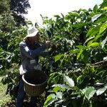 Photo taken by Steven P