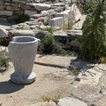 Photo taken by Lisa B