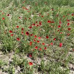 Photo taken by Tanya A