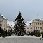 Photo taken by Ellyn V