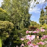 Photo taken by Shamma L