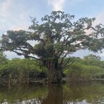 Photo taken by Jessica S