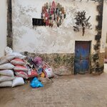 Photo taken by Hayley B