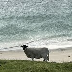 Photo taken by Danielle P