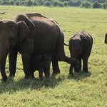 Photo taken by Wendy T