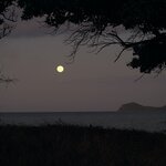 Photo taken by Tom B