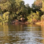 Photo taken by Tom B