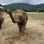 Photo taken by Dianne M