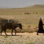 Photo taken by Indra S