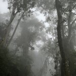 Photo taken by Mathew S