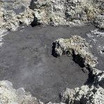 Photo taken by Sharon P