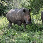 Photo taken by Michael L