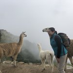 Photo taken by Schemilda A