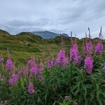 Photo taken by Dani L