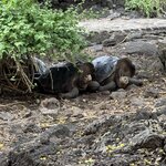 Photo taken by Lisa P