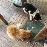 Photo taken by Pam L