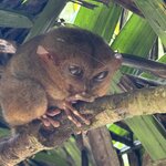 Photo taken by Brian W