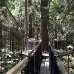 Photo taken by Sharon P