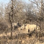 Photo taken by Janie W