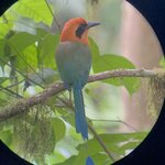 Photo taken by Chakrapani S