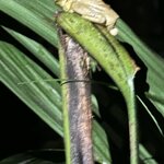 Photo taken by Sangeetha R