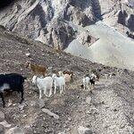 Photo taken by Catherine M