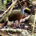 Photo taken by Mark S