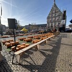 Photo taken by Jennifer D