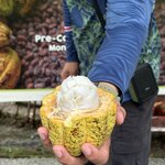 Photo taken by Ora Y