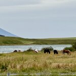 Photo taken by Cassandra M