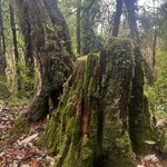 Photo taken by yancey A