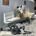 Photo taken by Kathleen S