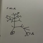 Photo taken by Dee C