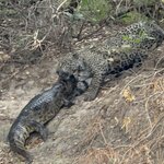 Photo taken by Sathees R