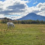 Photo taken by Stefani C