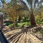 Photo taken by N.J. P