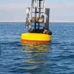 Photo taken by Bree J