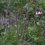 Photo taken by Deann M