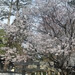 Photo taken by Kirti P