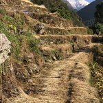 Photo taken by matthew h