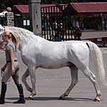 Photo taken by Shree L