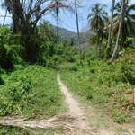 Photo taken by Brett F