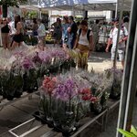 Photo taken by Martin D