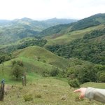 Photo taken by Khaled S